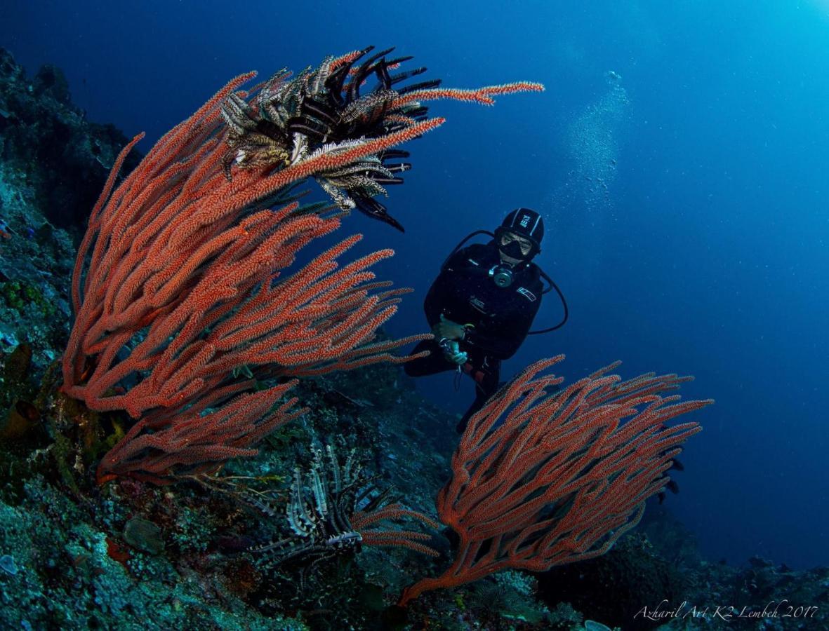 K2 Lembeh Dive Resort Bitung Экстерьер фото